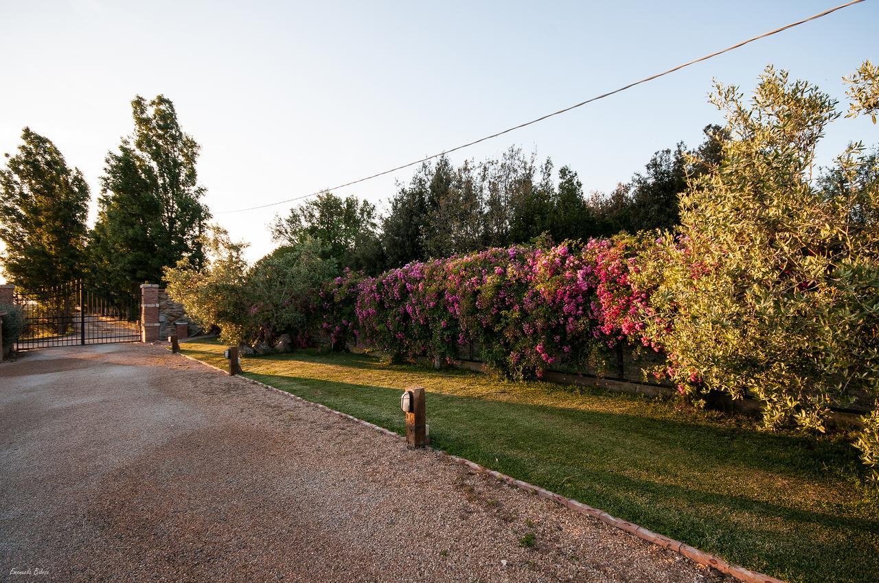 Bed and Breakfast Casalventodimare E Tramontana Montalto di Castro Exterior foto