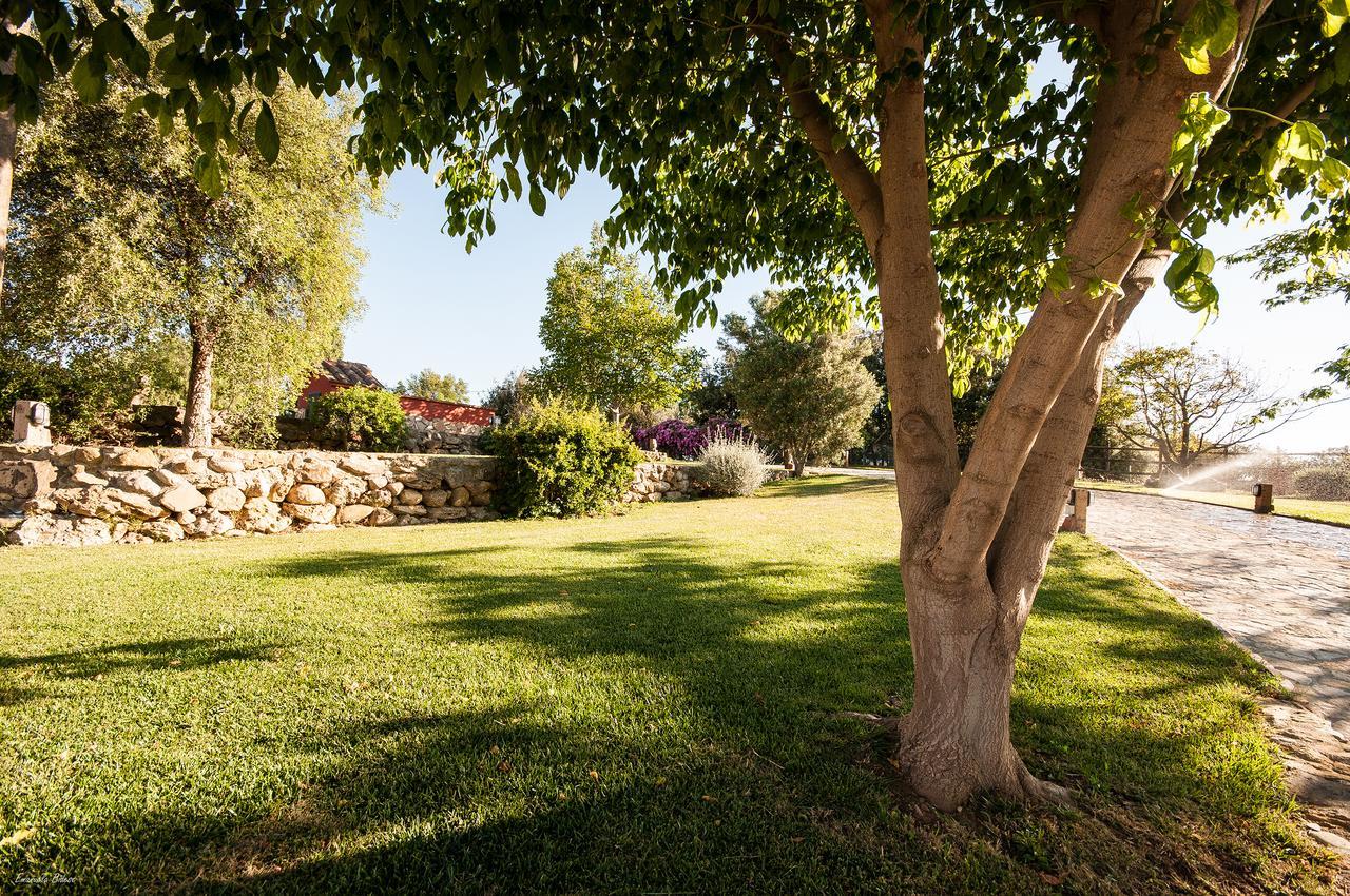 Bed and Breakfast Casalventodimare E Tramontana Montalto di Castro Exterior foto